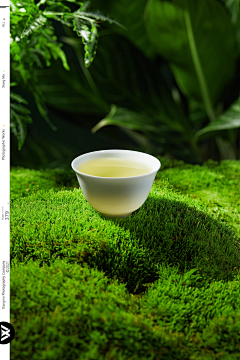 嗯亨海贼控采集到素材-茶