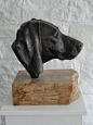 #Bronze Dogs #sculpture by #sculptor Joseph Hayton titled: 'Weimaraner Portrait…: 