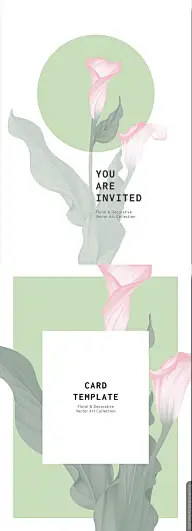 (Mango Frooty) 插画手绘