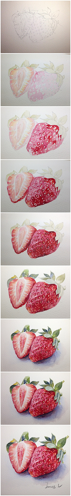 Susiein采集到插画
