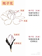 国画2 (1)