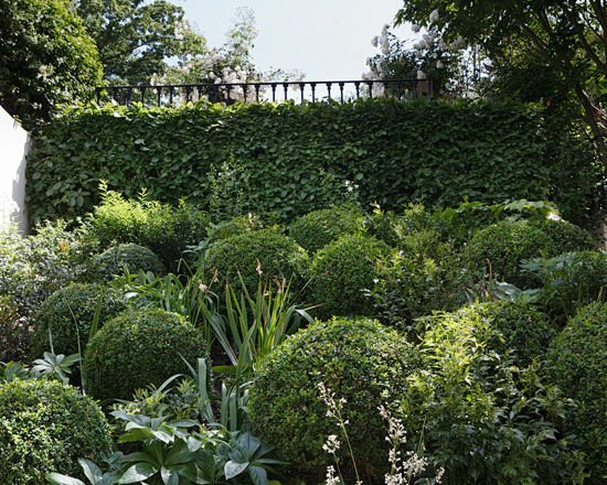 Holland Park, London