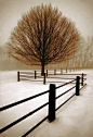 Winter Geometry, Pennsylvania. Almost B & W so I put it here.: 