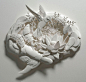单色立体纸雕----ifavart.com(辣椒酱)-最出色的视觉艺术分享