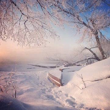 冬季俄罗斯，阳光下的雪景 ​​​​ ​ ...