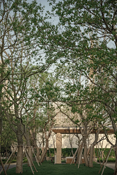 蒲月生八采集到阳台及庭院