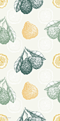 手绘素描柑橘类水果矢量无缝纹理 (1)