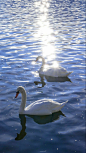 Crystal lake with sun shine