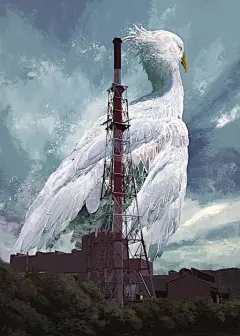 黑盖插画图片壁纸