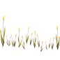 池塘边 芦苇荡  芦苇插画png