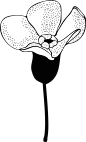 唯美婚礼素描字母花卉植物海报请柬装饰免抠PNG元素图案PS合集 (13)