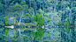 一汪碧水两茫茫 - 费尔德山国家公园里的达布森湖，塔斯马尼亚岛 (© Tom Mackie/plainpicture) | 必应每日高清壁纸 - 精彩,从这里开始