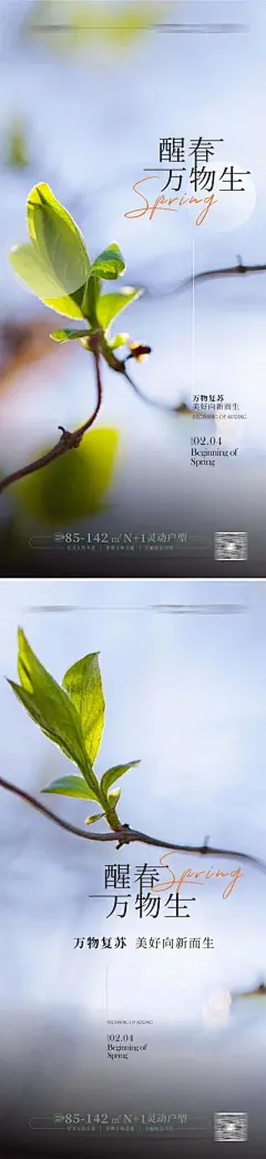 【南门网】海报 地产 二十四节气 立春 惊蛰 春分 树芽