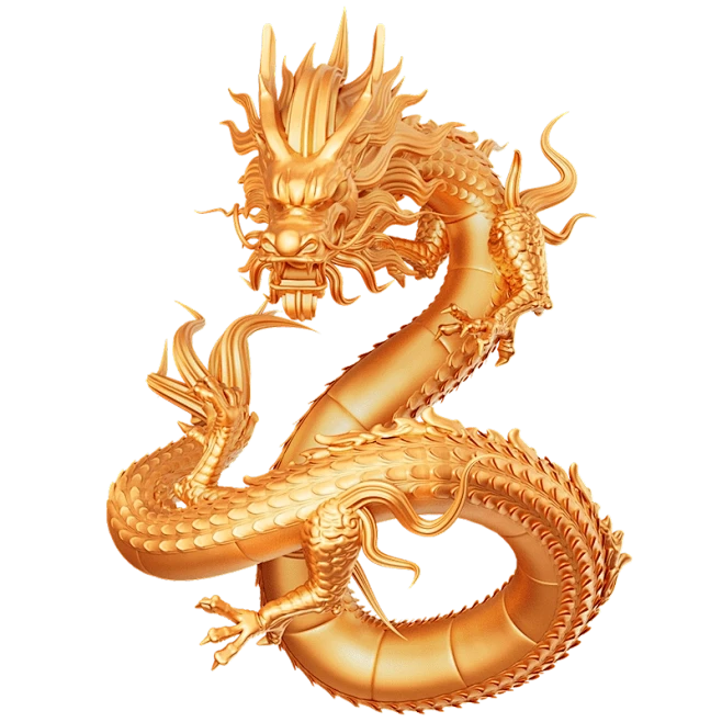 龙 (55)