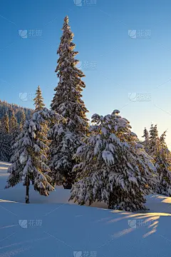 神奇的日出在雪后的冬山