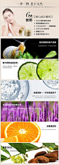成分