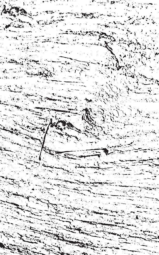 木板树纹材质纹理 (15)