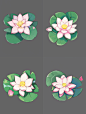 fengtiantian_Lotus_flower_and_lotus_leaf_top_view_game_2D_flat__df20584e-93e6-4e50-873c-83adf21a80ea