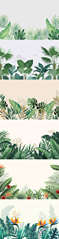 手绘热带植物叶子矢量插图北欧小清新绿植雨林森林芭蕉叶背景