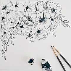 花卉插画系列图集丨创意叶子草本花卉绘画/抽象植物绘画临摹作品/水彩iPad手绘