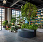 Greenery Unlimited Design Store [Brooklyn] : Greenery Unlimited is one of the first biophilic design store in the world, connecting a shopping space with natural environment. Surrounded by leaves and exotic plants, the visitors are invited to stroll aroun