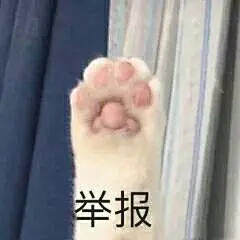 996福报 - 斗图表情包 - 斗图啦 - doutula.com