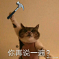 006biMnjgy1frtpik2wq2j30qo0qodhv