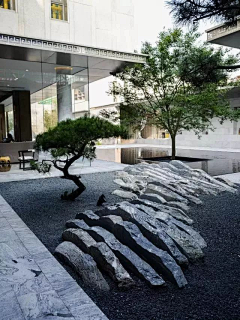 小王子的未名之花采集到摄影