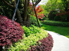 youqi1124采集到居住区种植景观