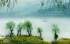 春风又绿江南岸绿色桌面壁纸