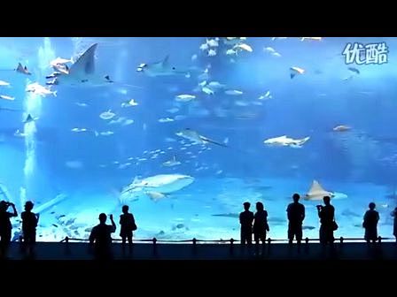 世界上最大的水族馆：美得让人难以置信 -...