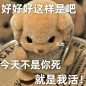 森贝儿表情包
