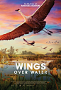 Mega Sized Movie Poster Image for Wings Over Water (#1 of 2)