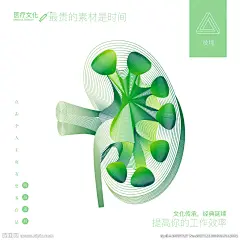 肾脏