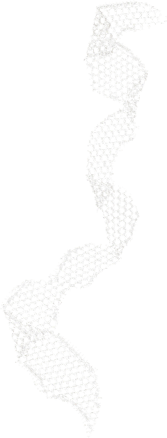 奶昔窝窝儿采集到【画画专用】欧式花纹、边框、蕾丝