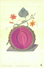 HJ0017C