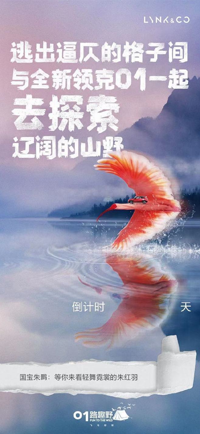 追国宝朱鹮 探山林湿地
一路趣野第三季整...