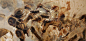 u=1939200459,4037231985&fm=253&fmt=auto&app=138&f=JPEG