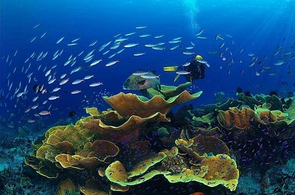悦的相册-海底水世界