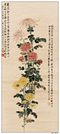 名家国画作品 —— 《菊花》