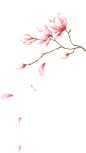 创意 水彩 手绘 桃花 装饰元素免抠png图片壁纸