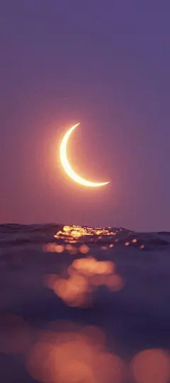 壁纸 黑白 手机壁纸 好看壁纸 摄影