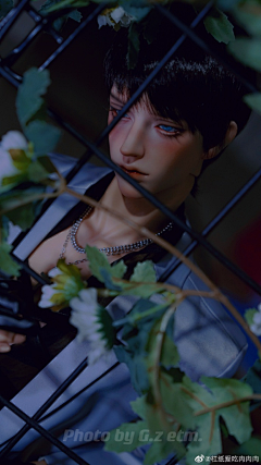 针弹翻车鱼采集到手办/3D/BJD