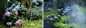 640 (7).png