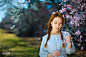 花无眠，柳无颜——杨最醉