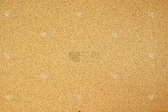 空白软木板用于各种注释和通知