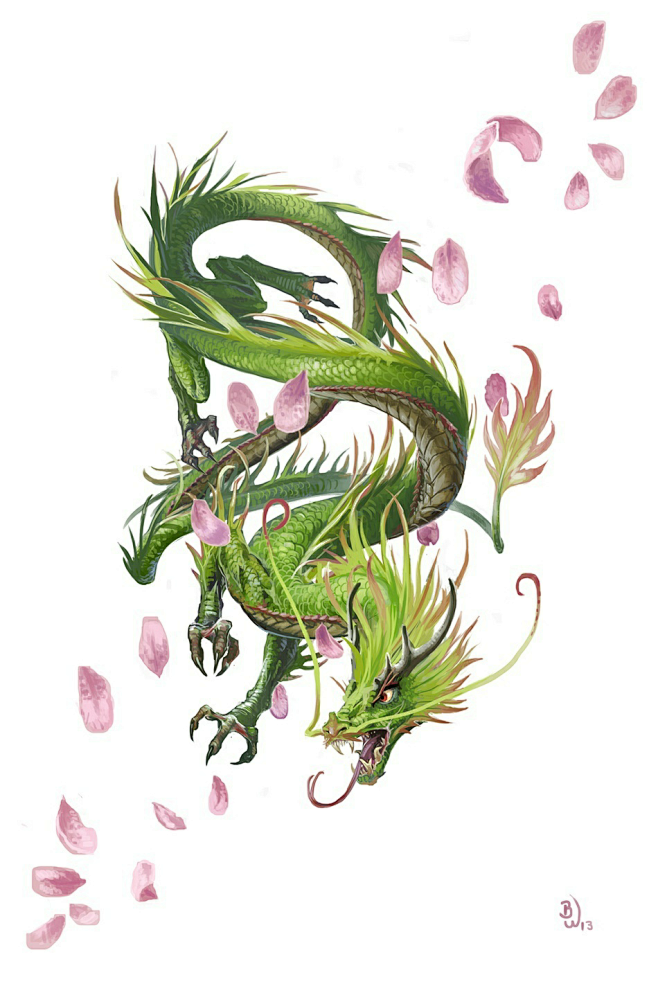 青龙花