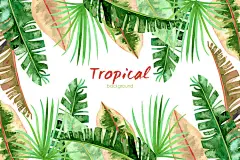 水彩手绘绿色热带雨林棕榈叶芭蕉叶插图背景AI矢量设计素材AW1924-淘宝网