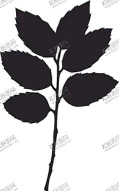 植物系列树叶 【酷图网】植物系列,树叶,叶子,花草,剪影,黑白图,光合作用,绿叶,衬托,Tree,leaf,叶脉,网状脉,平行脉,单叶,复叶,呼吸,二氧化碳,氧气,植物剪影,大自然,灌木,乔木,铁艺,镂空,雕刻,精美,装饰,酷炫,潮流,背景图,底图,包装设计,元素,板报,海报,模板,企划