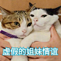 TIM图片20170921144007